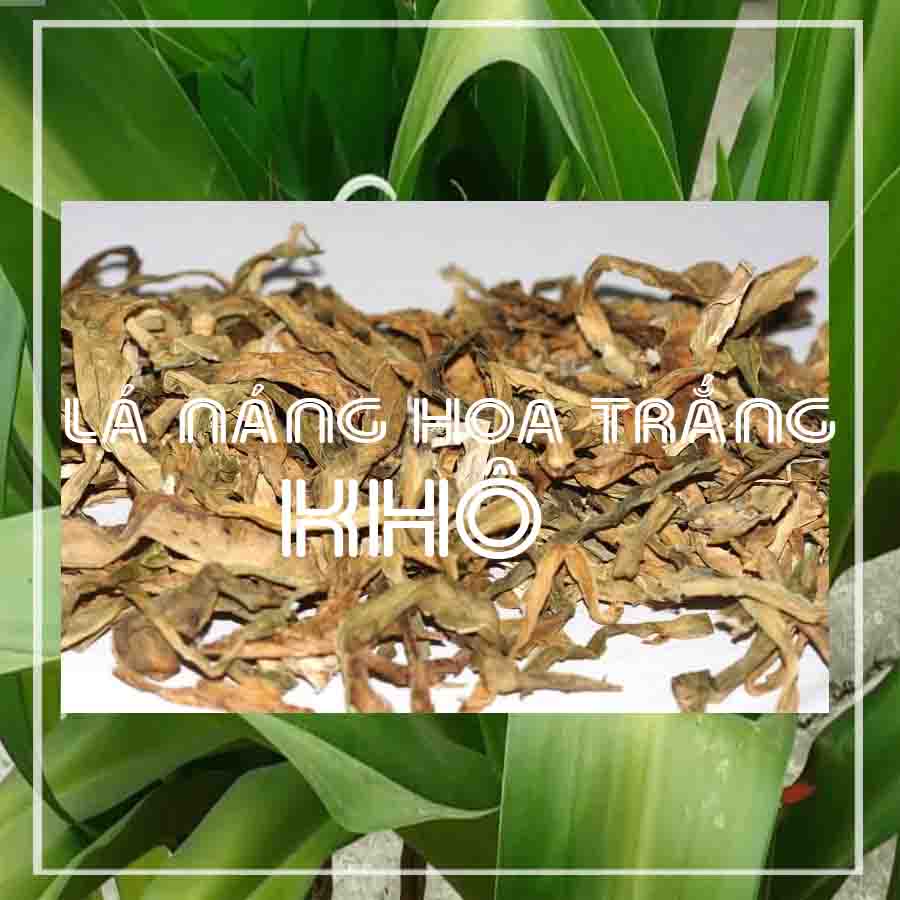 Lá náng hoa trắng khô sạch đóng gói 500gram