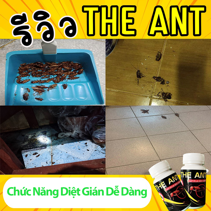 Bột Diệt Kiến Gián Mối THE ANTS 100g Nội Địa Thái Lan Dùng 1 Lần Diệt Cả Ổ Trong 5 Phút Tặng Thìa Xúc Bột