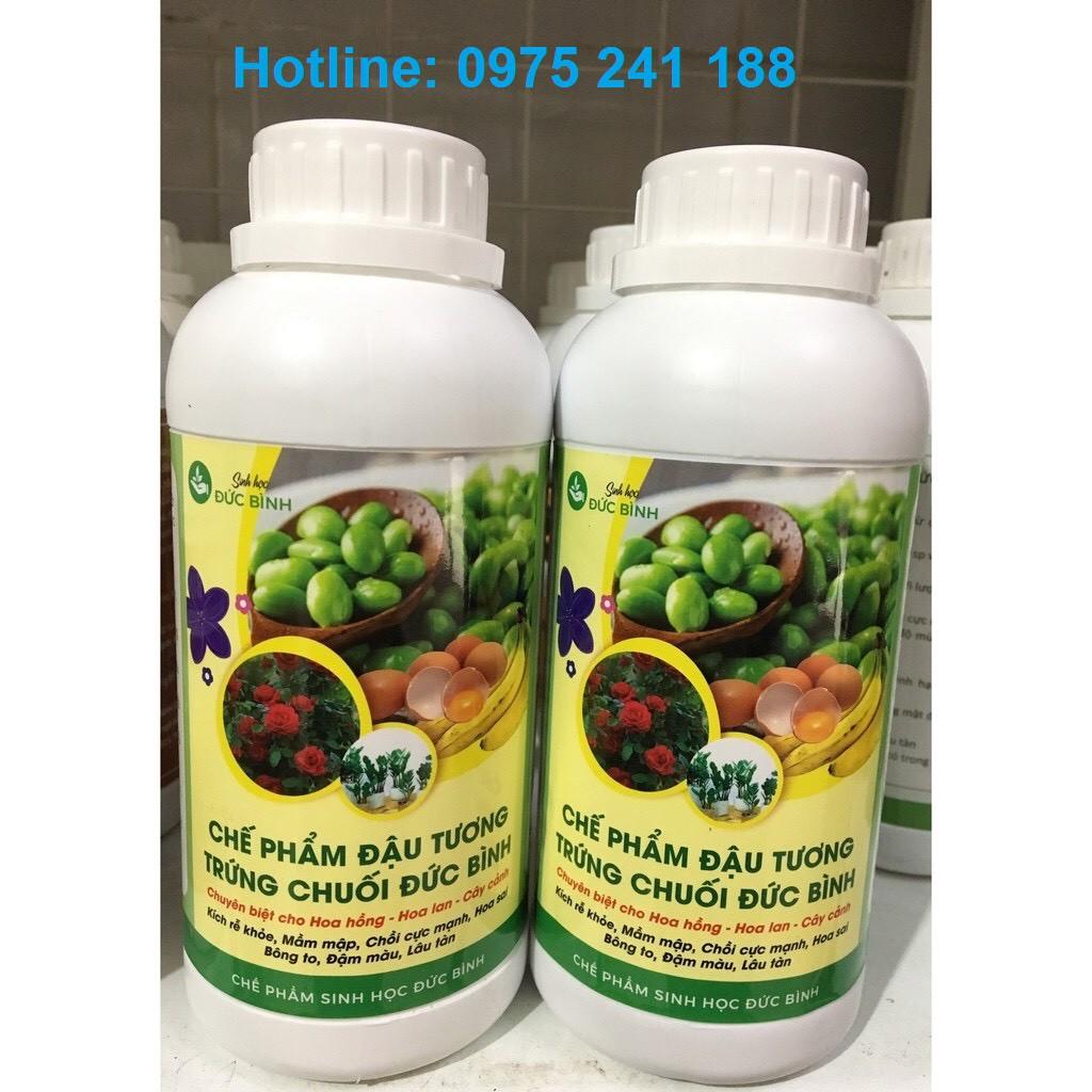 Phân đậu tương ủ trứng chuối hữu cơ rất tốt cho cây cảnh, hoa, rau củ quả... chai 500ml