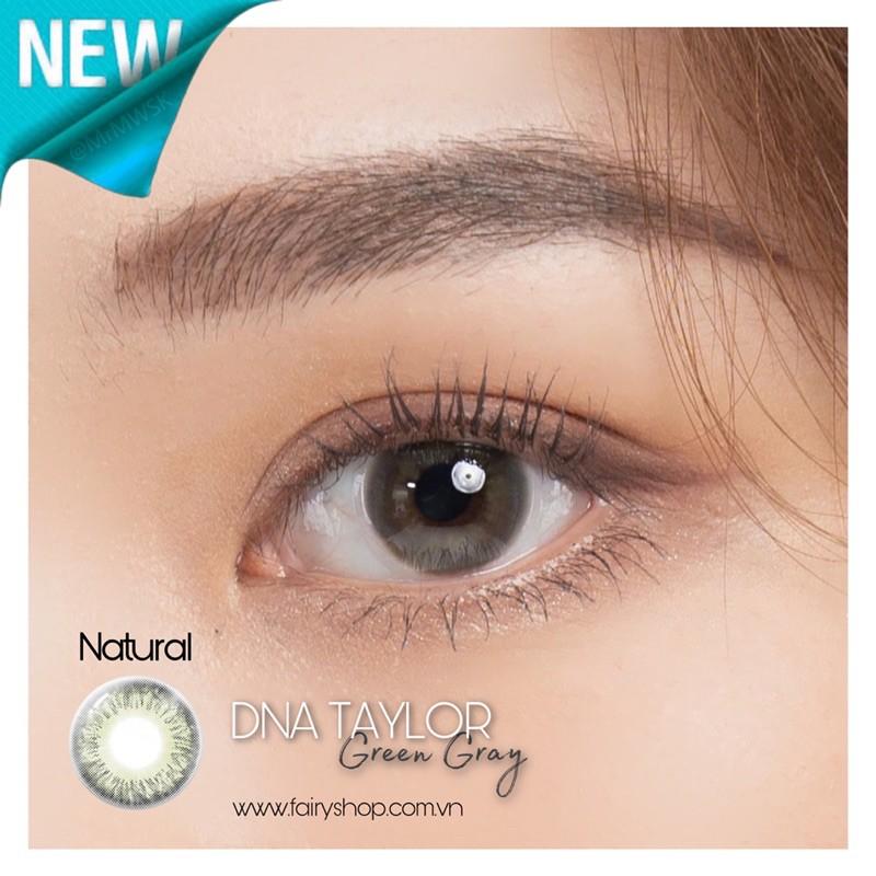 DNA TAYLOR GREEN GRAY Natural 14.0mm - Kính Áp Tròng FAIRY SHOP CONTACT LENS Độ 0 đến 6