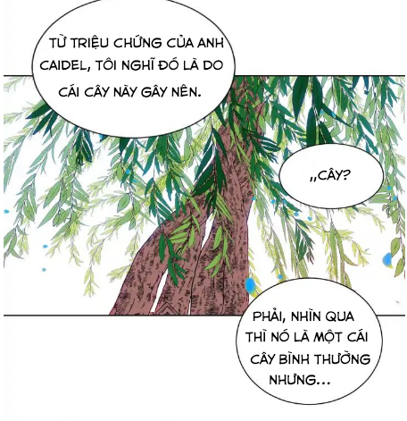 mong ước tuyệt vọng của một phù thủy chapter 3 18