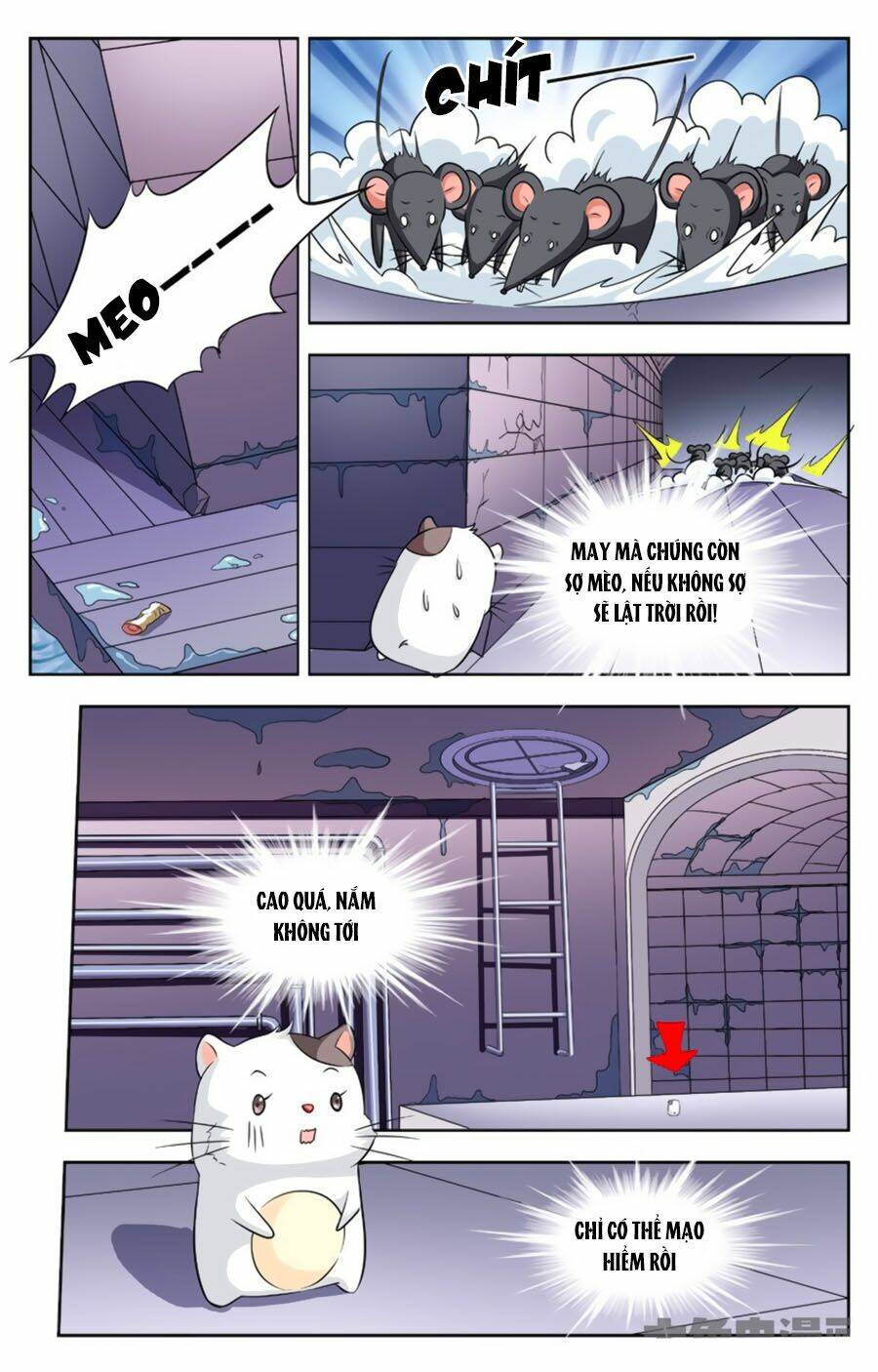 nam thần của tôi chapter 113 5