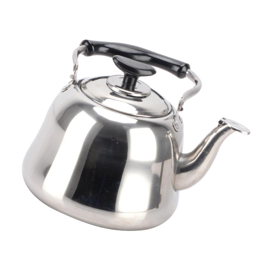 2x Stainless Steel Hot Water Tea Kettle with Whistle Sound Infuser Teapot 3L