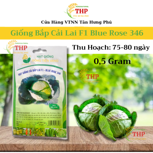 Hạt giống Bắp Cải Lai F1 Blue Rose 346 | Hạt Giống | gói 0.5gram