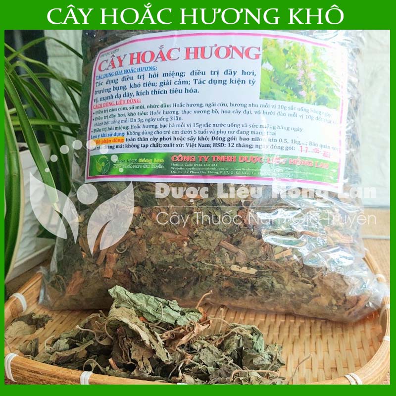 Cây hoắc hương khô sạch đóng gói 500gram