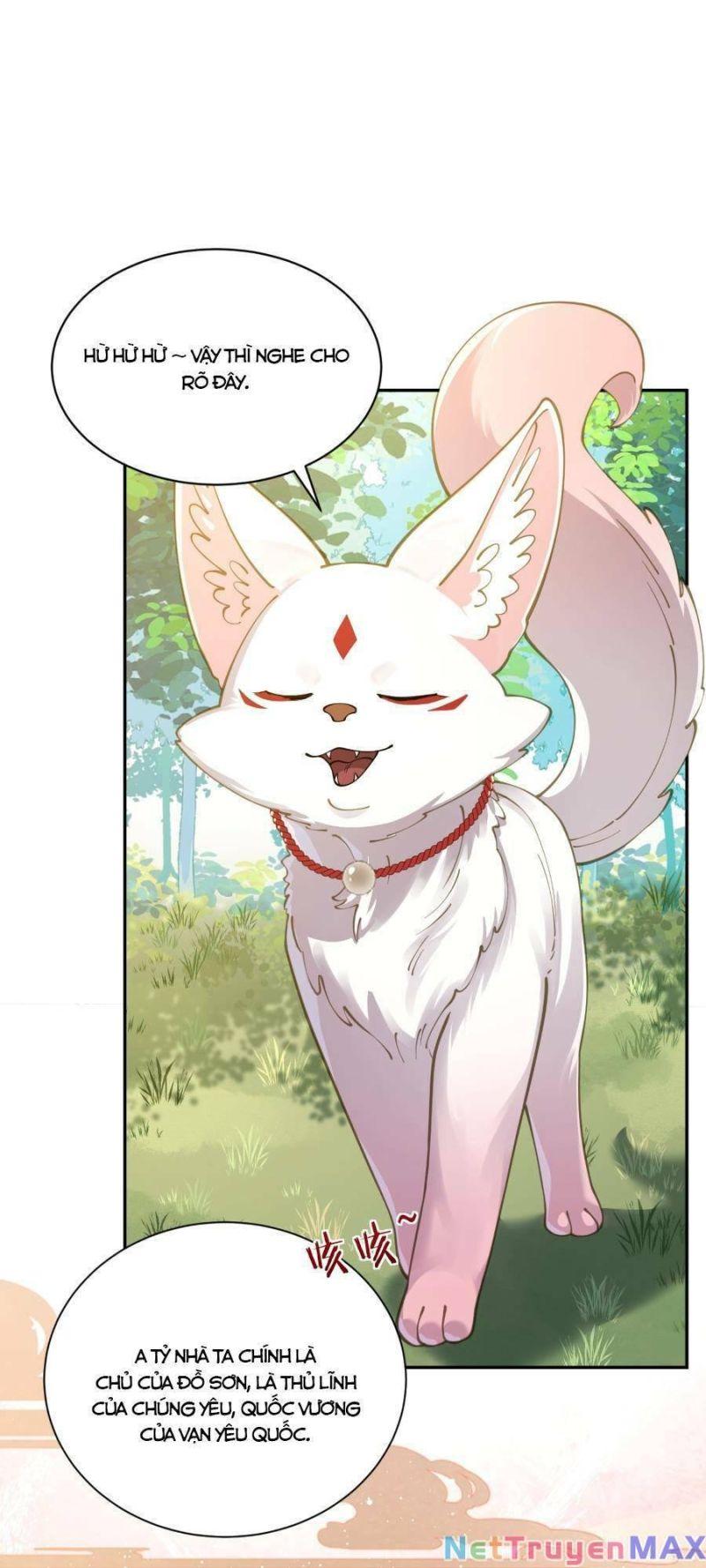 bói toán mà thôi, cửu vĩ yêu đế sao lại thành nương tử ta?! chapter 22 51