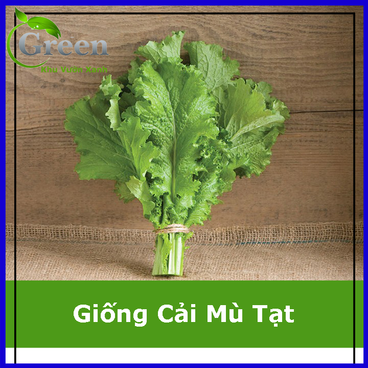 Hạt Giống Cải Mù Tạt Chịu Hạn