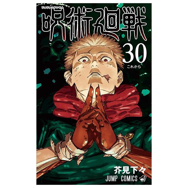 Sách ngoại văn: Jujutsu Kaisen 30 (Japanese Edition)