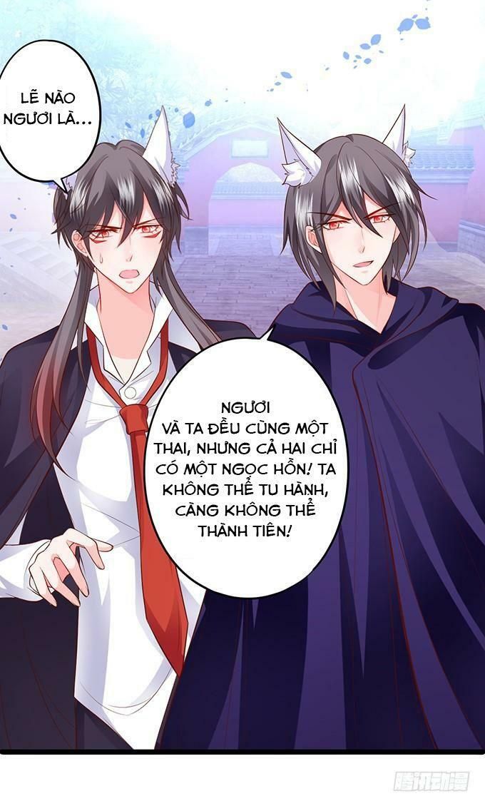 hồ tiên hung bạo chapter 156 6