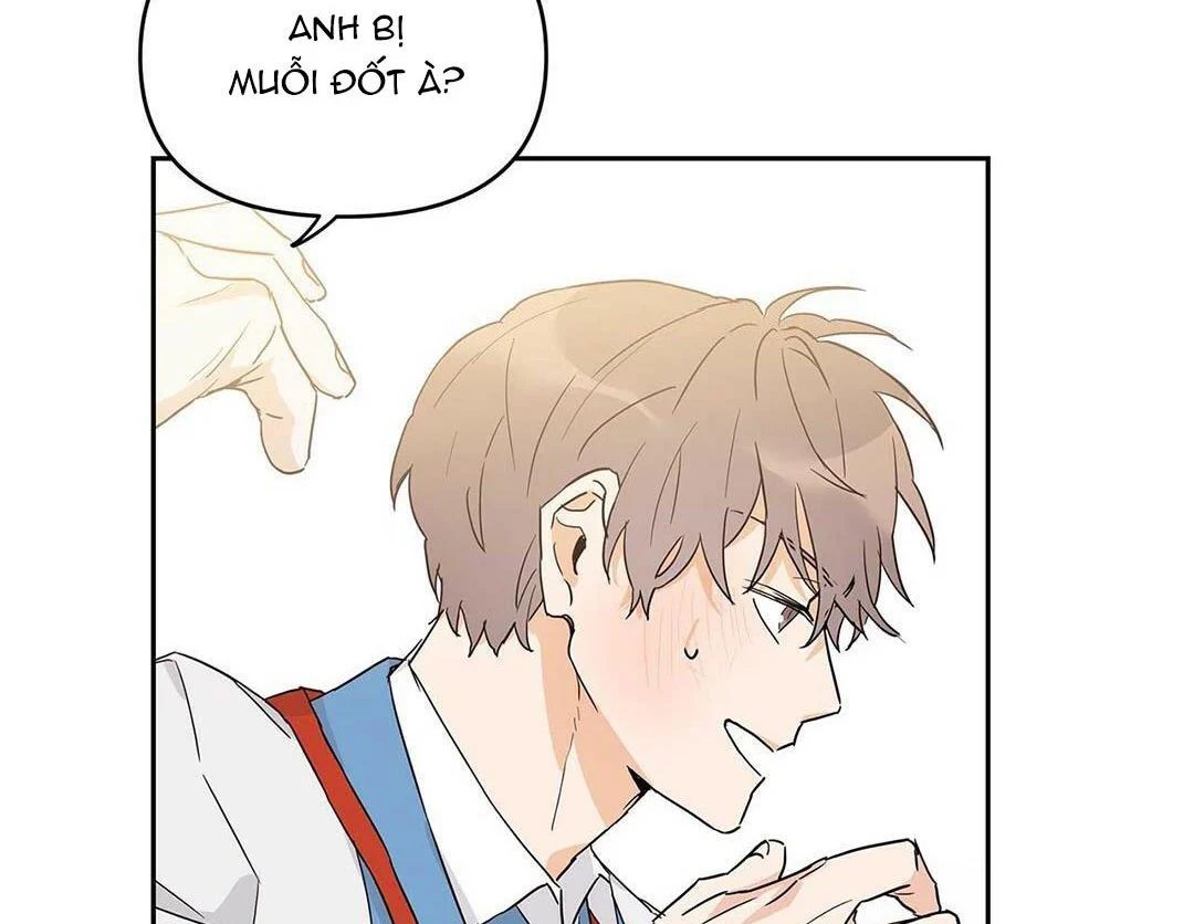 guide cấp b chapter 14 50