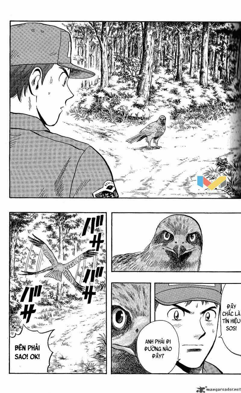 animal sense chapter 11 24