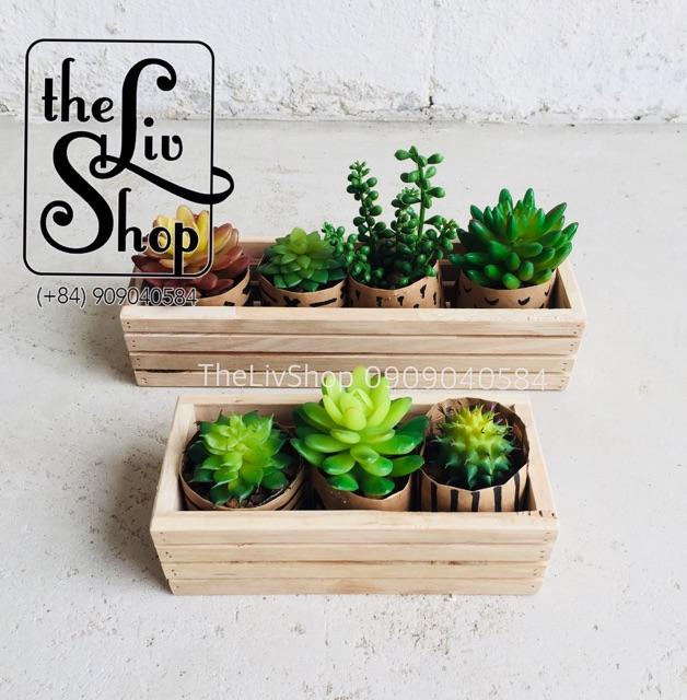 Chậu gỗ trồng cây