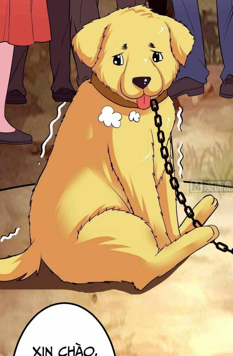 ngưu thư cung ứng thương chapter 45 5