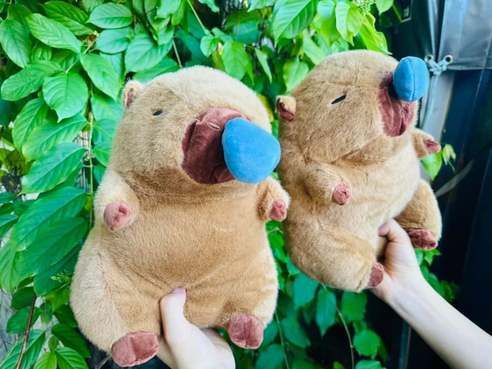 Gấu Bông Capybara Chảy Nước Mũi, Thú Nhồi Bông Capybara xinh xắn dễ thương