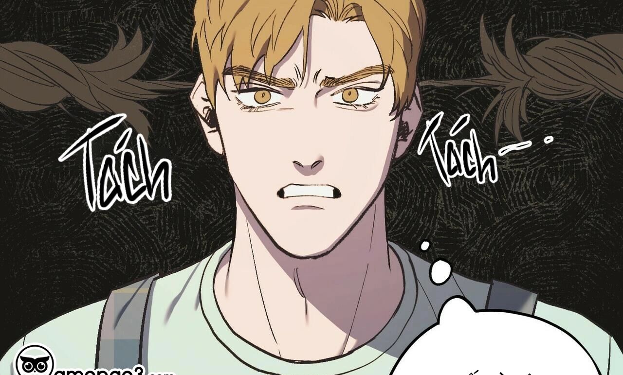 chàng dâu nhà họ kang chapter 20 135