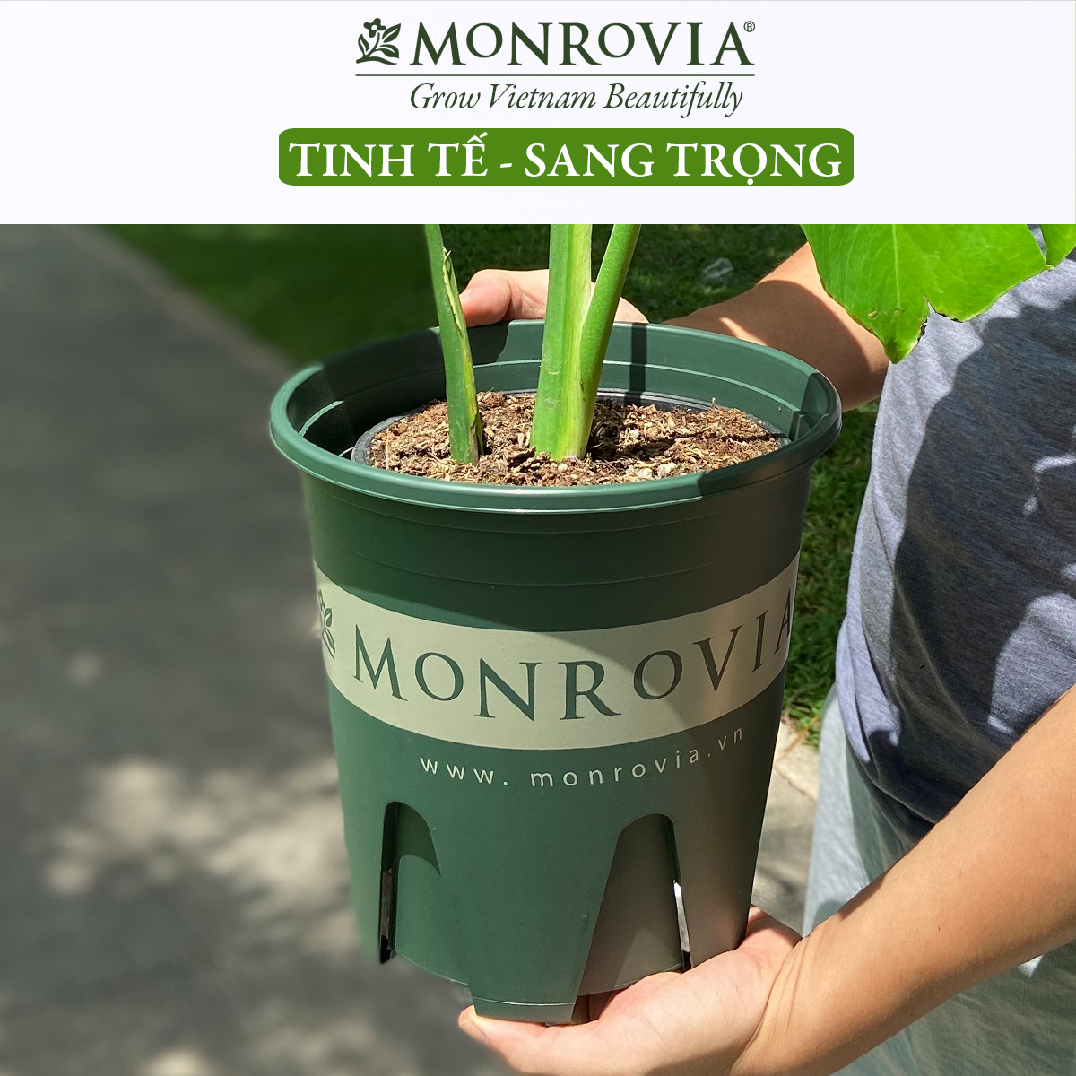 Chậu nhựa trồng cây MONROVIA 6 Gallon, Dòng M-Series, chậu trồng cây, chậu cây cảnh mini, để bàn, treo ban công, treo tường, cao cấp, chính hãng thương hiệu MONROVIA