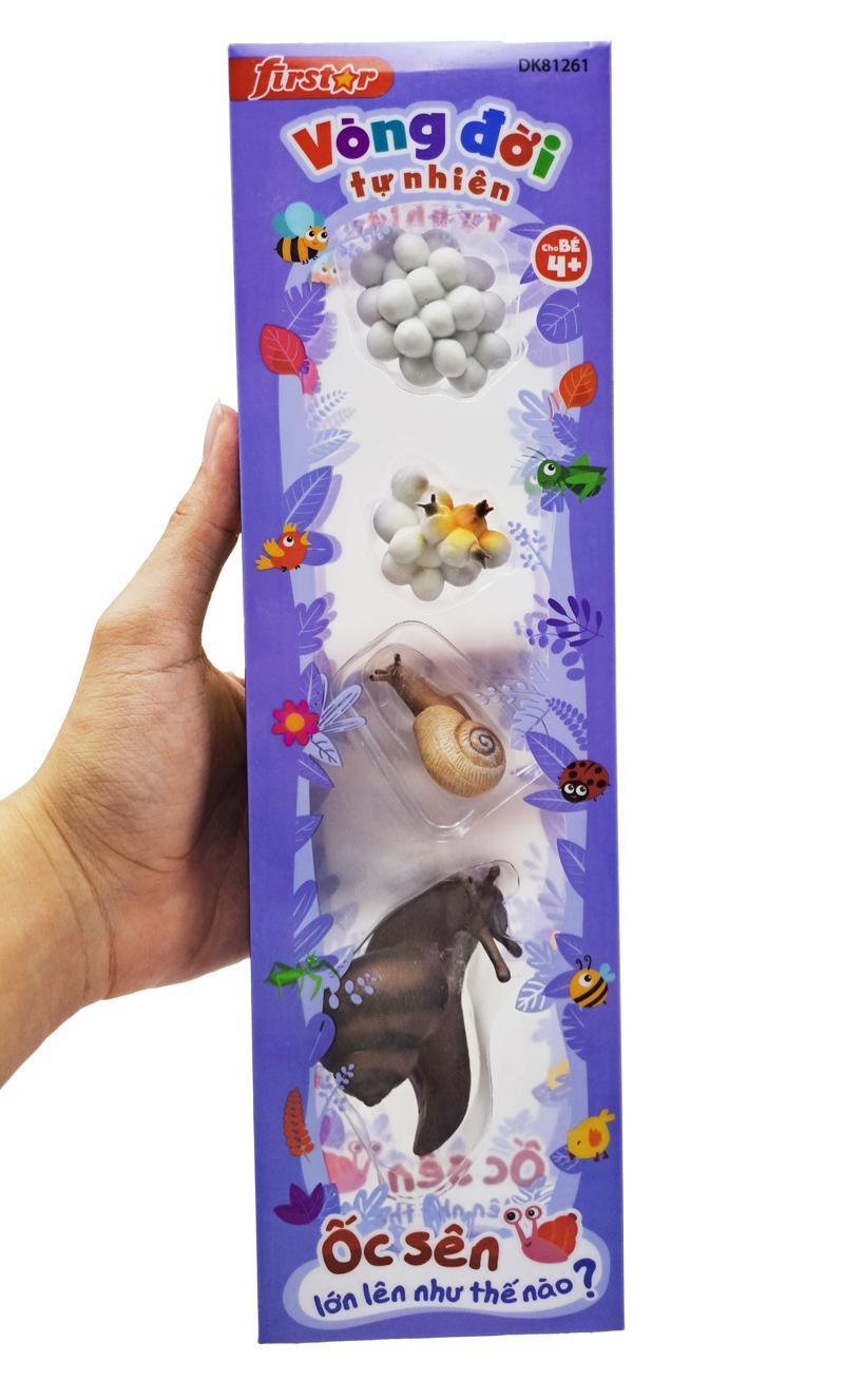 Đồ Chơi Mô Hình Vòng Đời Tự Nhiên - Ốc Sên Lớn Lên Như Thế Nào? - Firstar DK81261