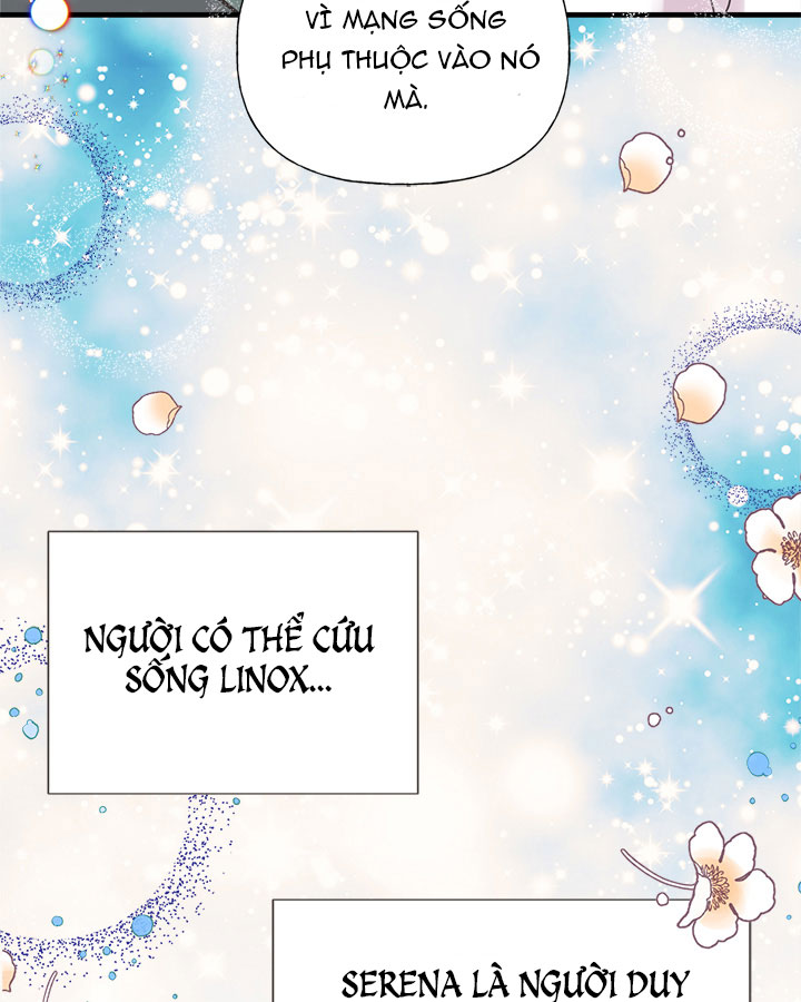 chị tôi đã nhặt về một nam chính quyến rũ chapter 45 16