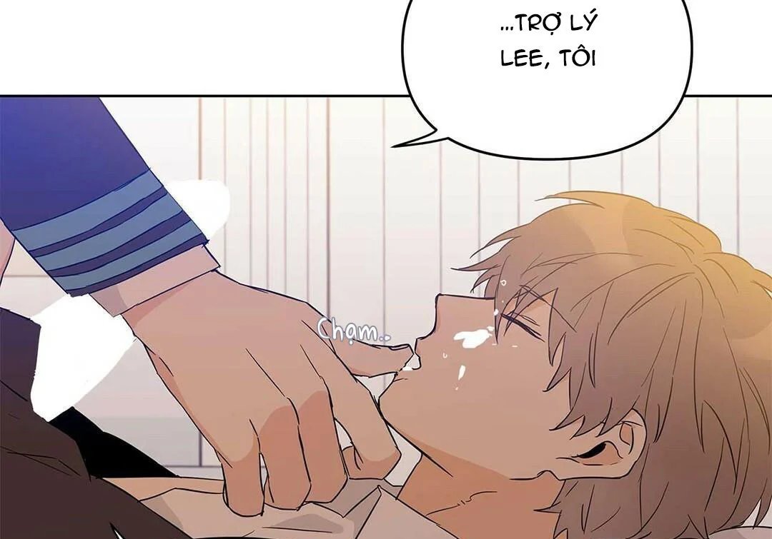 guide cấp b chapter 17 47