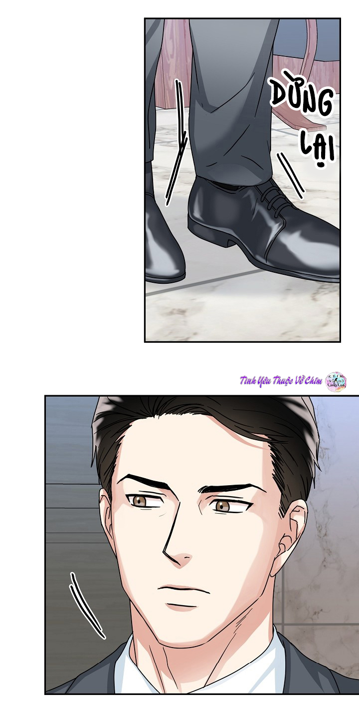 đối tác an toàn chapter 7 45