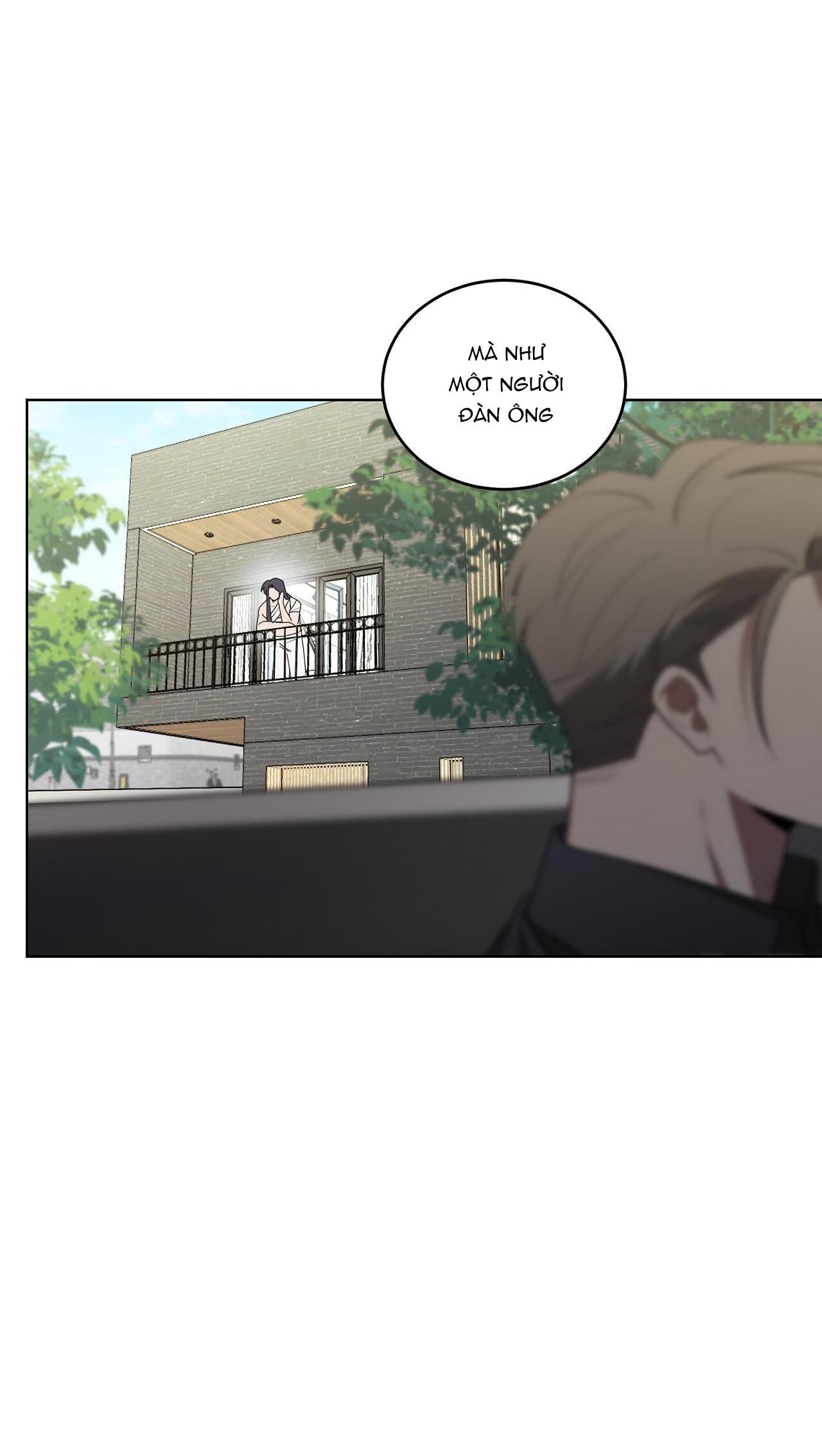 khi chim thước đến chapter 24 42