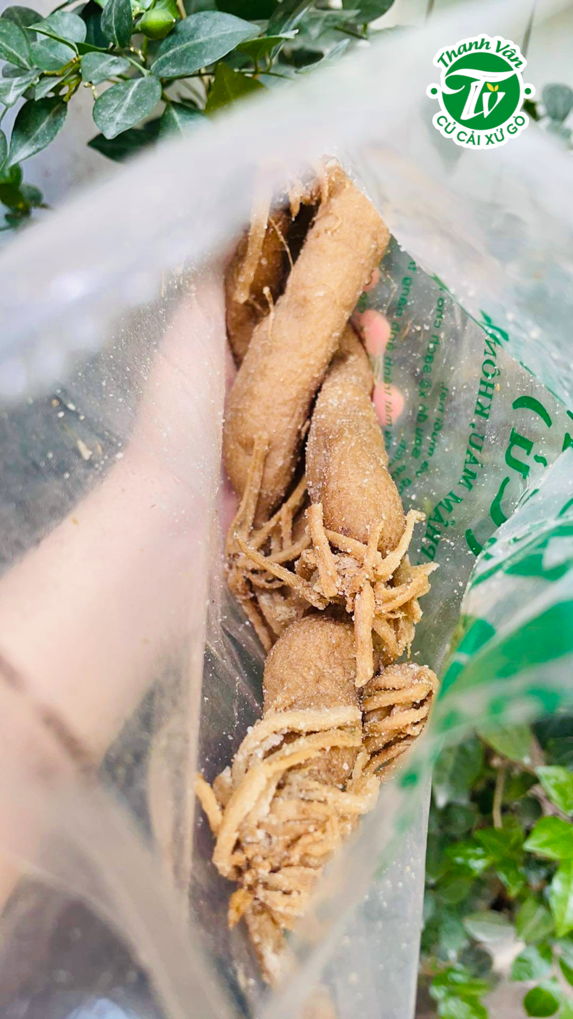 Củ cải trắng muối củ Thanh Vân xứ Gò - 500gr