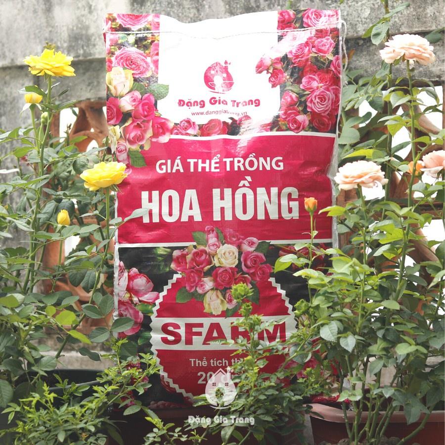 GIÁ THỂ TRỒNG HOA HỒNG SFARM - BAO 20DM3 - 1 bao 7KG