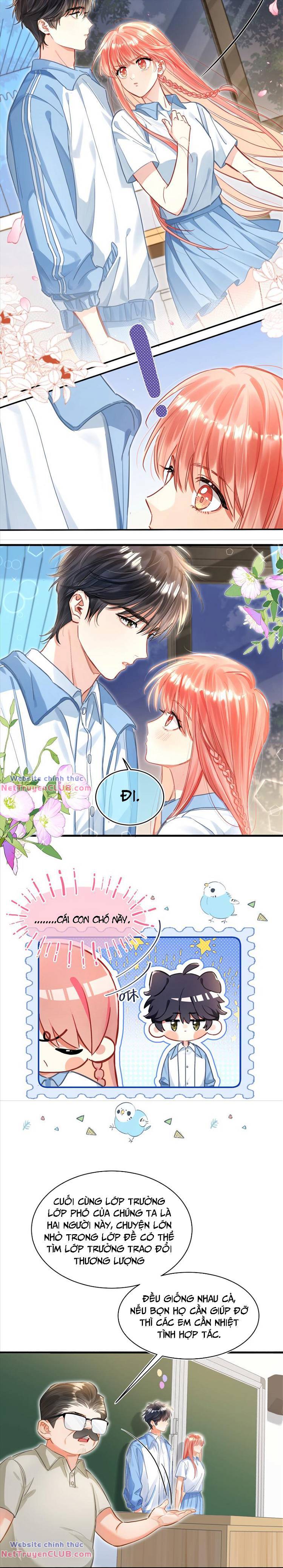 bong bóng anh đào chapter 13 4