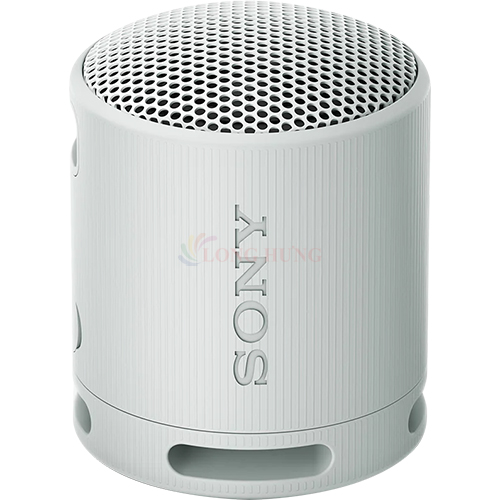Loa Bluetooth Sony SRS-XB100 - Hàng chính hãng