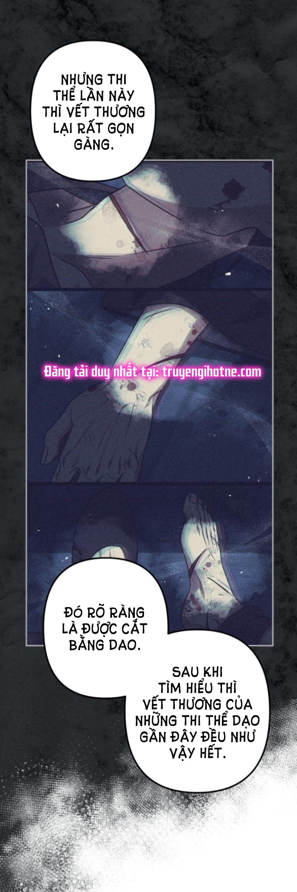 bản tình ca heeran chapter 53.1 13