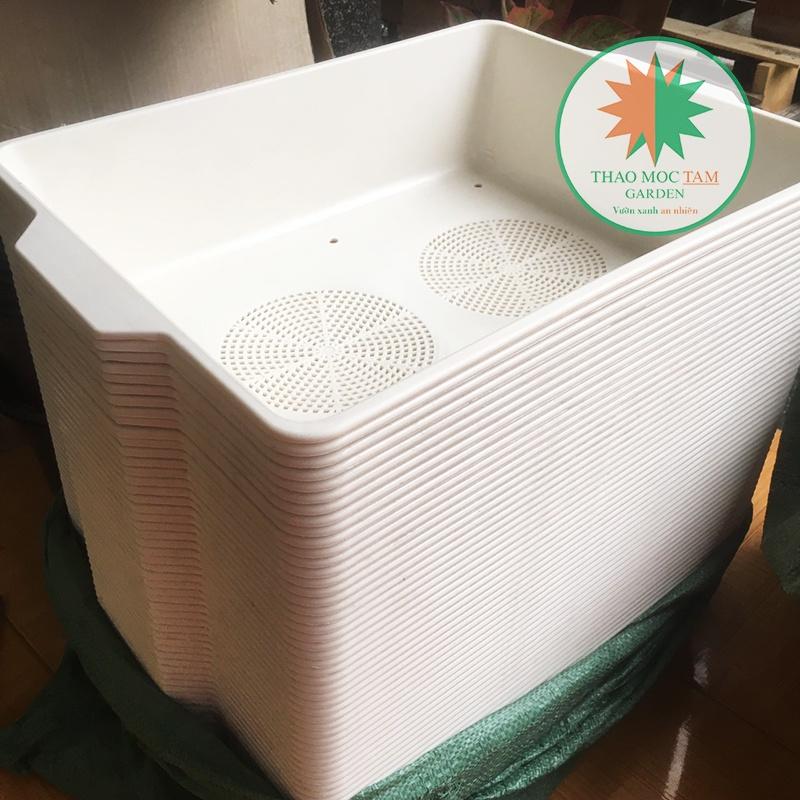 Combo 5 Khay Trồng Rau 48x39x12cm – Khay rau mầm, Trồng các loại rau ăn lá, chất liệu nhựa PP bền chắc