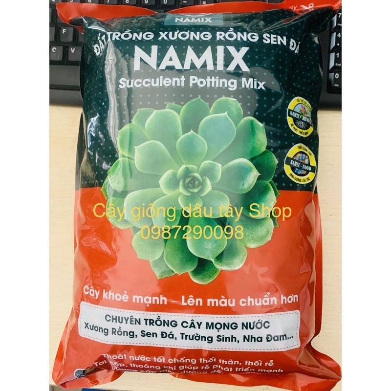 Đất trồng xương rồng, sen đá Namix Succulents Potting Mix