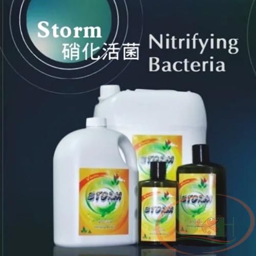 Vi sinh nước VIN Storm Nitrifying Bacteria vi khuẩn sống oyk xử lý nước bể cá tép thủy sinh