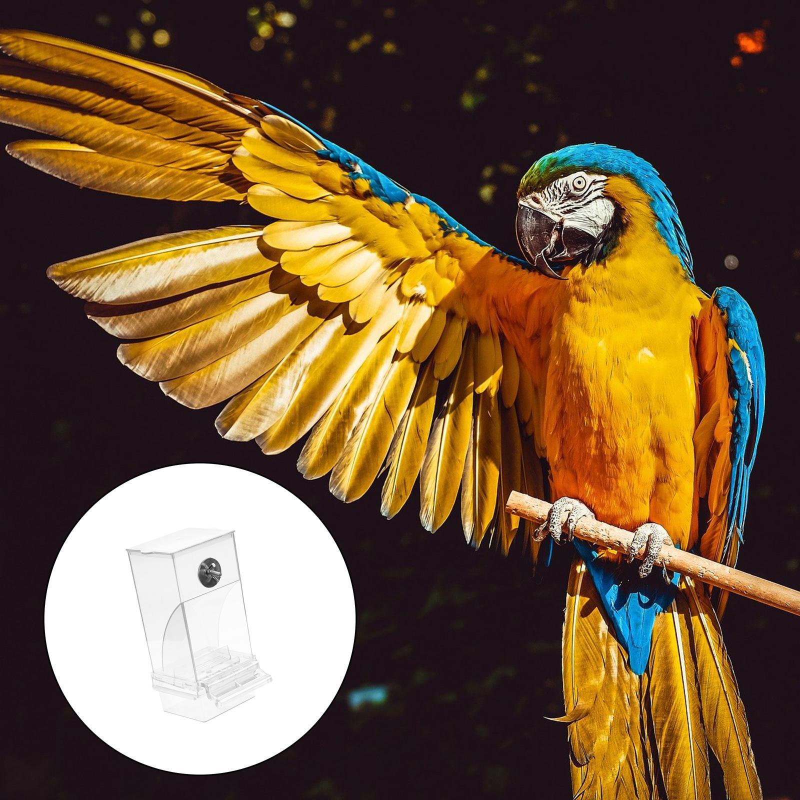 Seed Feeding Automatic Container Box Parrot Feeder Pet Bird Cage Food Feeder