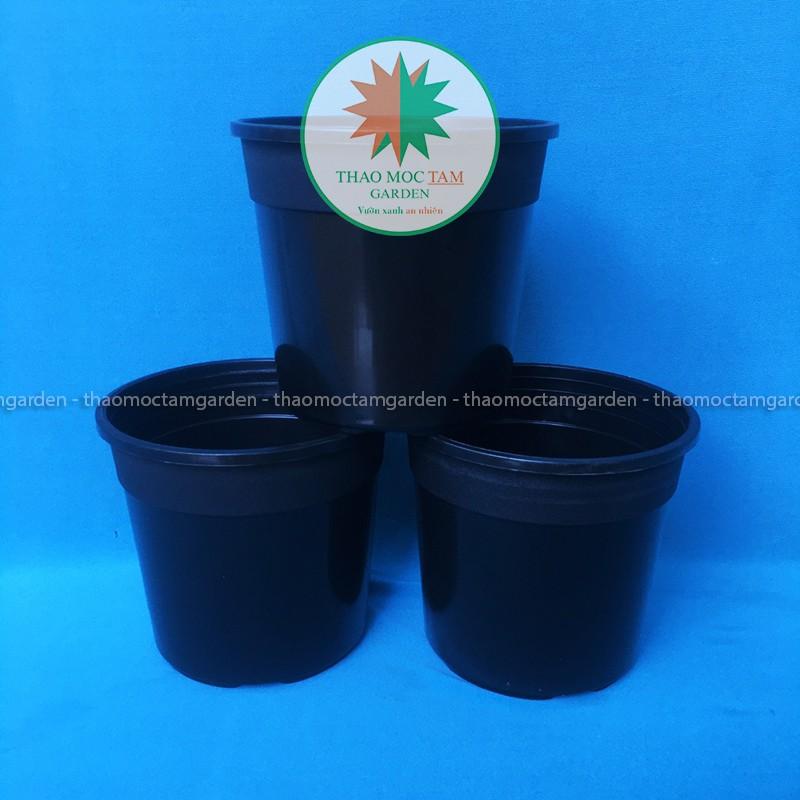 Chậu nhựa dày 12x11cm – Chậu nhựa cứng, dày chất lượng trồng sen đá và cây hoa nhỏ, ươm lan kiếm, lá kiểng