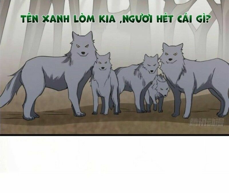 độc bộ thiên hạ: đặc công thần y chapter 204 7