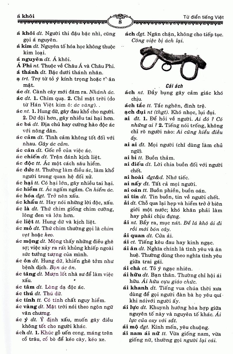 Ngôn Ngữ Việt Nam - Từ Điển Tiếng Việt - ảnh 10