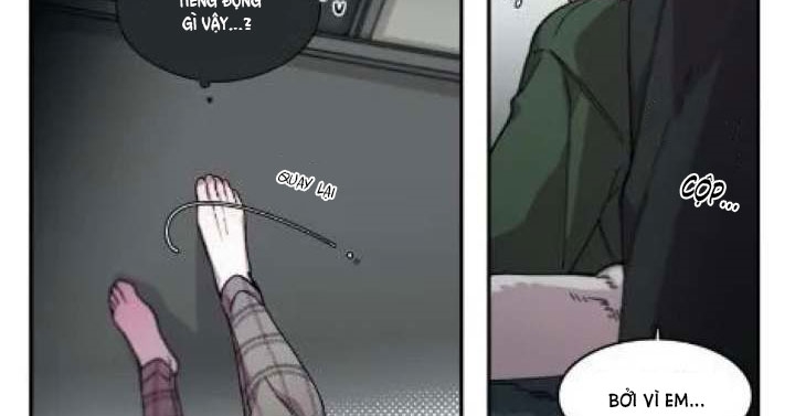 s flower chapter 66.1 81