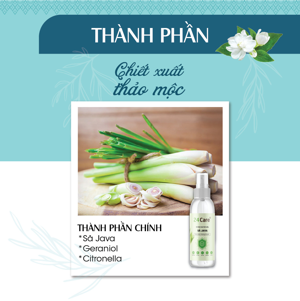 Combo 2 Tinh dầu Xịt phòng Sả Java+ Quế Hữu Cơ Organic 24Care 100ML/Chai - Có giấy Công bố của Bộ Y Tế