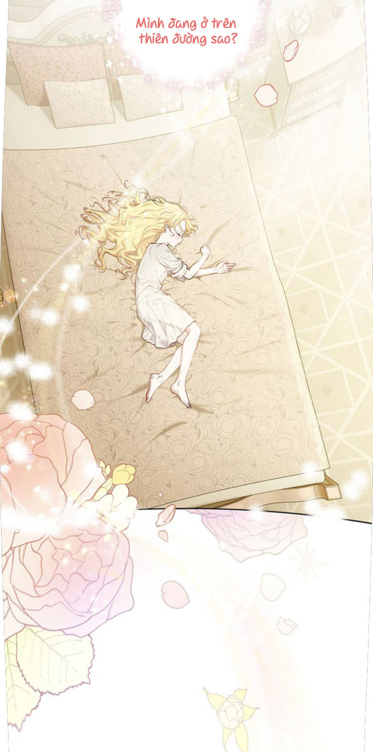 tìm lại nàng camellia chapter 2 3