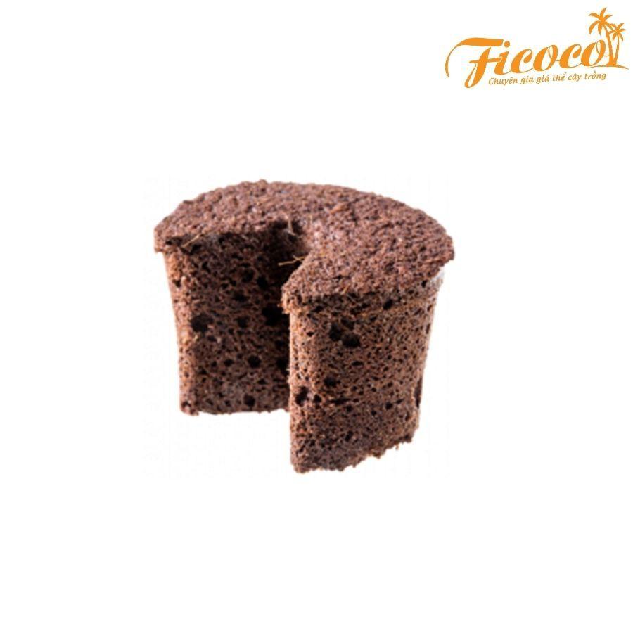 10 viên mút xốp hữu cơ - FICOCO - ươm kei lan, cây trồng