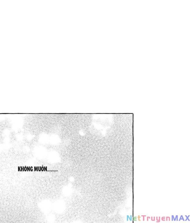 nuôi dưỡng một hắc long chapter 68.2 40