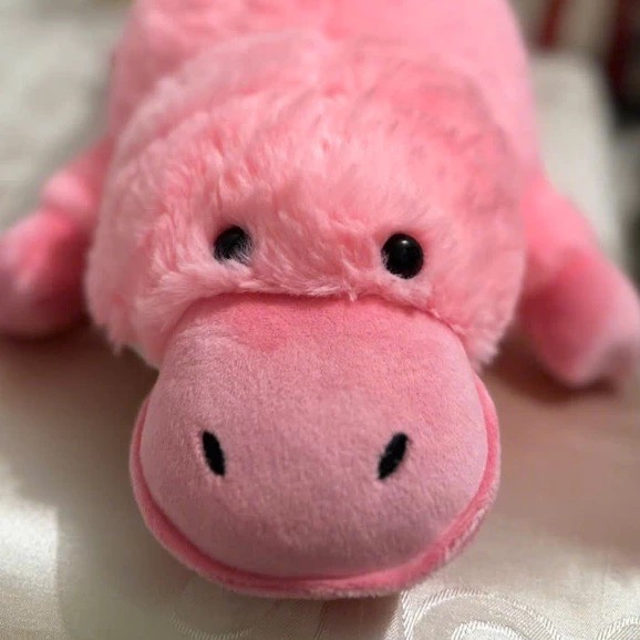 Thú nhồi bông rái cá mỏ vịt đáng yêu - Size 55cm đến 70cm - Quà tặng gấu bông thú mỏ vịt êm mịn cho bé