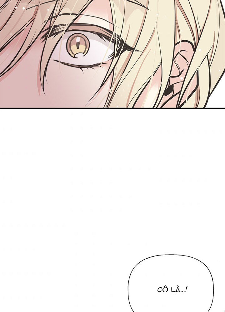 chị tôi đã nhặt về một nam chính quyến rũ chapter 52 76