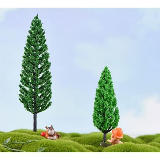 Cây rừng trang trí sân cườn chậu cây ngoài trời