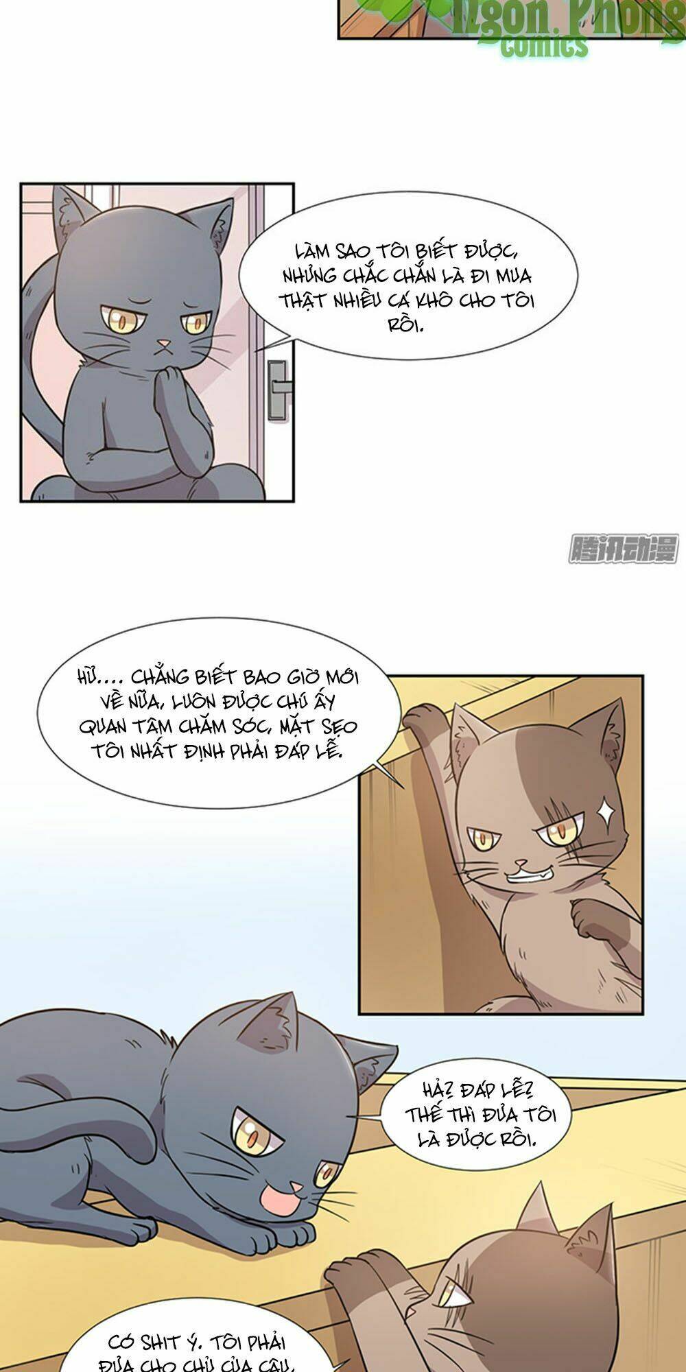 hai chú mèo totem chapter 27 5