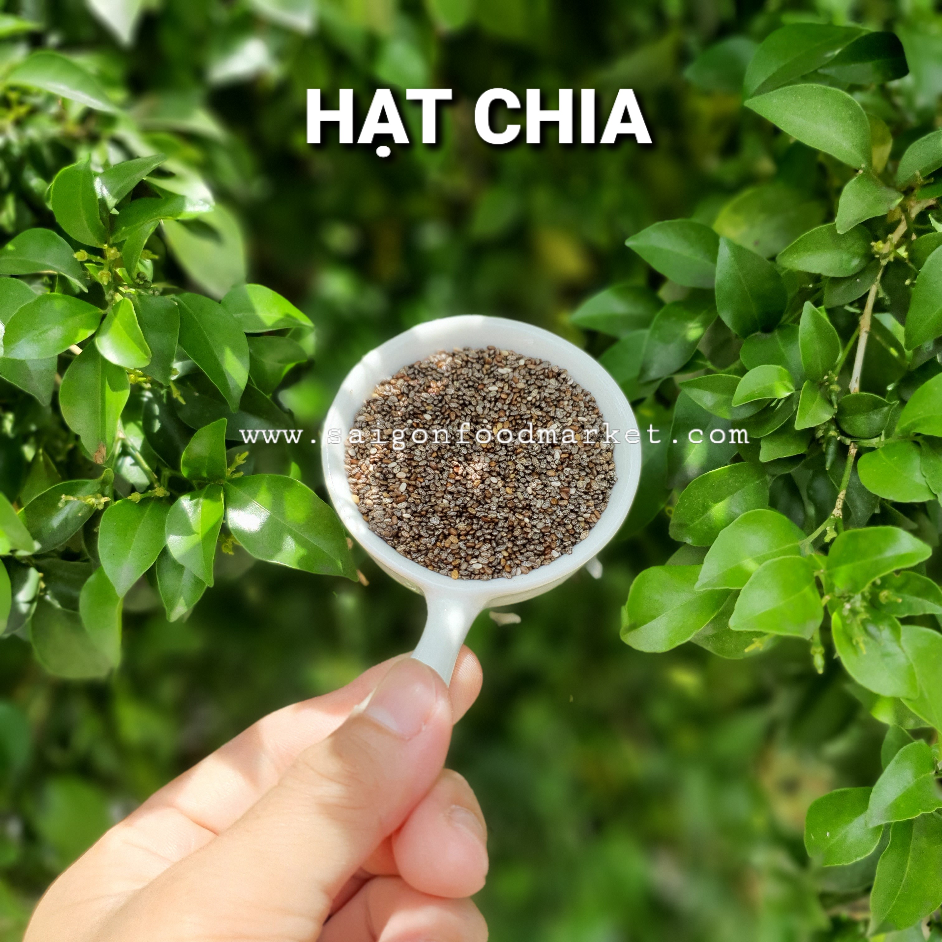 HẠT CHIA ÚC TÚI 1KG