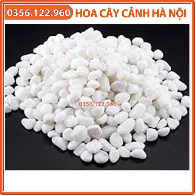 Đá trắng rải trang trí gốc cây, tiểu cảnh, bể cá