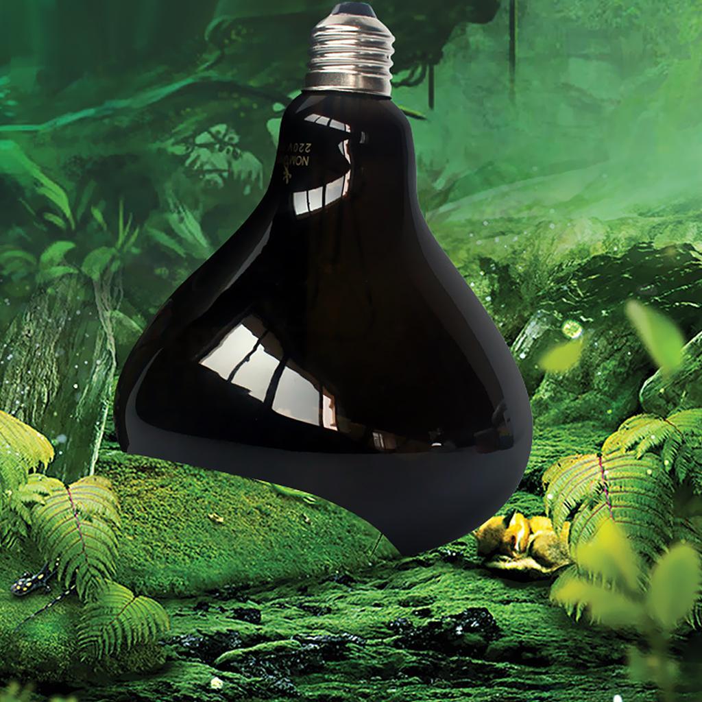 Reptile Moonlight Bulb E27 Screw Fit Night Black Light Heat Snake Gecko 70W