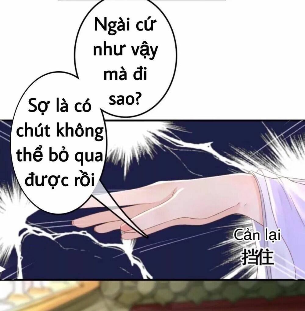 sủng phi của vương chapter 80 10